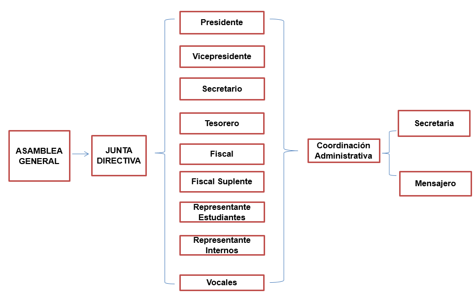 estructura-anir