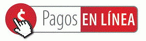 PAGOS-EN-LINEA-